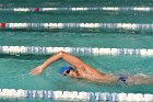 Swimming vs Babson  Wheaton College Swimming vs Babson College. - Photo By: KEITH NORDSTROM : Wheaton, Swimming, Babson